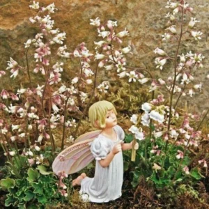 Chiquita Miniature Coral Bells Plant – Tiny Heuchera in 2.5