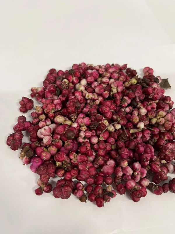 Coralberry Bush Seed - 5 Ft Tall, Vibrant Coral-Pink Berries, Wildlife-Friendly Shrub