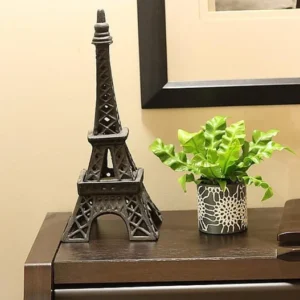 Crispy Wave Fern - Air Purifying Asplenium - 4