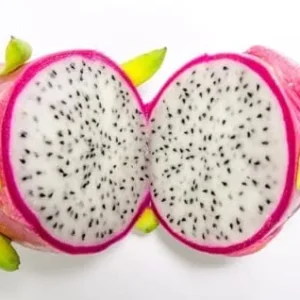 Dragon Fruit Plant Cuttings - 4 Red Yellow White Pitaya Cactus Unrooted 6-10 Inch Garden Variety