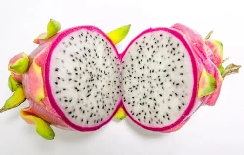 Dragon Fruit Plant Cuttings - 4 Red Yellow White Pitaya Cactus Unrooted 6-10 Inch Garden Variety