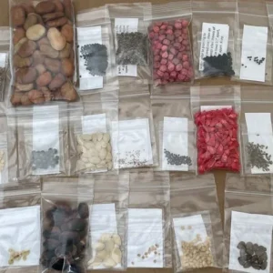 Emergency Vegetable Survival Seed Kit - 30 Varieties - Non-GMO Heirloom Seeds