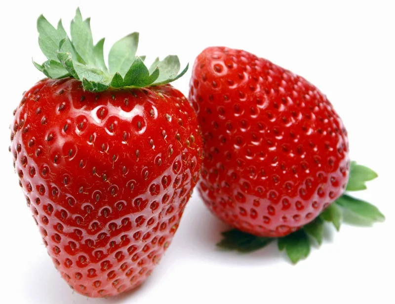 Eversweet Everbearing Strawberry Plants 10 Bare Roots - Super Sweet Variety Strawberry Fruit