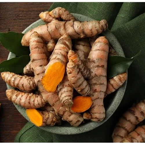 Fresh Turmeric Roots - 2 Lbs Yellow Turmeric Rhizomes - Ready to Plant