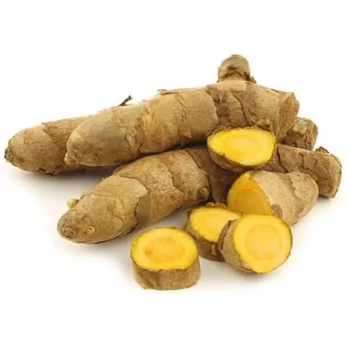 Fresh Turmeric Roots - 4 Lbs Wild Yellow Turmeric Tubers - Ready to Plant