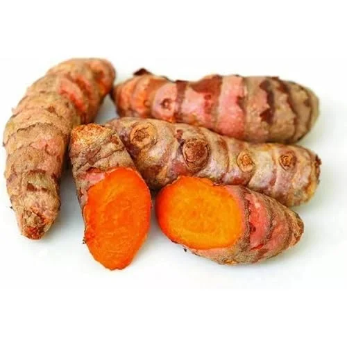 Fresh Turmeric Roots - 4 Lbs Wild Yellow Turmeric Tubers - Ready to Plant