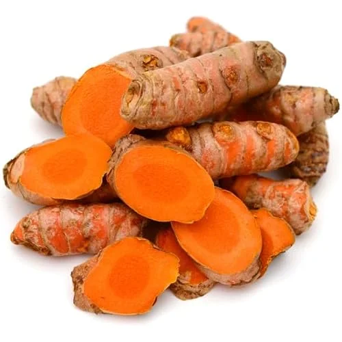 Fresh Turmeric Roots Plant - 1/2 Lb Yellow Turmeric Live Rhizomes - Wild Turmeric Tubers