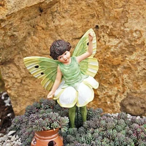 Frosted Blue Sedum Plant - 2.5