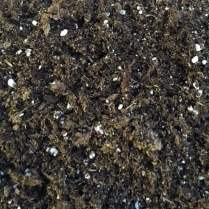 General Purpose Potting Soil 8 Quart – Organic Blend with Peat Moss & Perlite