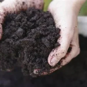 General Purpose Potting Soil 8 Quart – Organic Blend with Peat Moss & Perlite