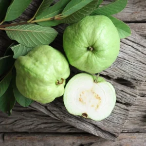 Guava Tree Live Plant - White Guava, 4-8 Inch Tall - For Gardening
