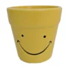 Happy Face Planter with Colorful Croton Plant – Indoor Houseplant in 3.75" Ceramic Pot