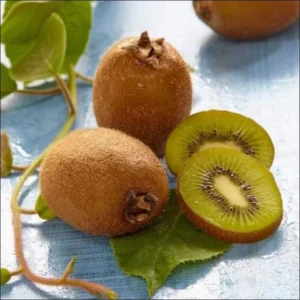 Hardy Kiwi Fruit Tree - 2 Pack Live Kiwi Plants 4-6 Inch Tall