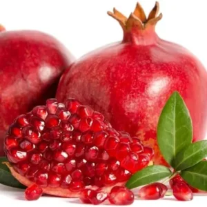 Large Pomegranate Tree Live Plant - Red Pomegranate Fuit - 1 to 1.5 Feet Tall - Gallon Pot