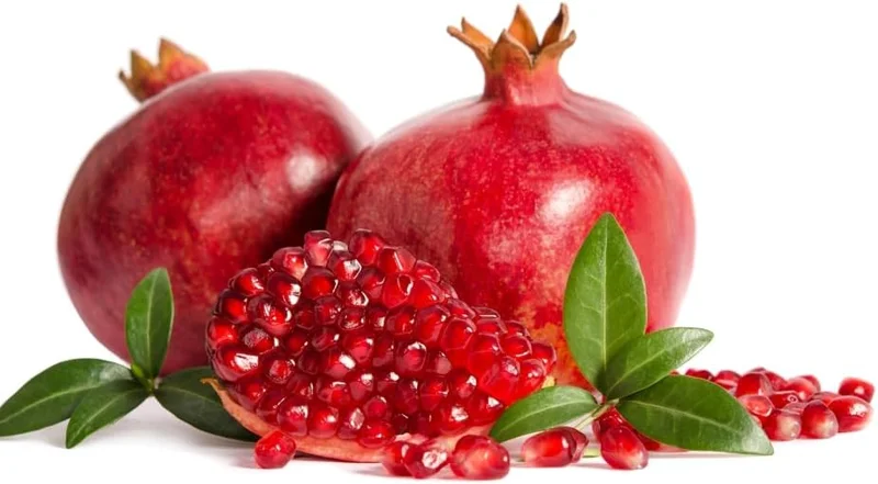 Large Pomegranate Tree Live Plant - Red Pomegranate Fuit - 1 to 1.5 Feet Tall - Gallon Pot