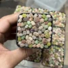 Live Plants 50-60 pcs Lithops - Lithops Live Plants (0.1-0.3”), Living Stone Succulents