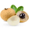 Longan Plant Live for Planting - 5-8 Inch Sweet Longan Fruit Tree in Pot
