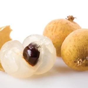 Longan Plant Live for Planting - 5-8 Inch Sweet Longan Fruit Tree in Pot