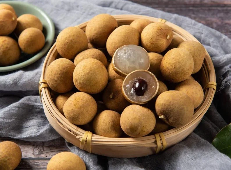 Longan Plant Live for Planting - 5-8 Inch Sweet Longan Fruit Tree in Pot