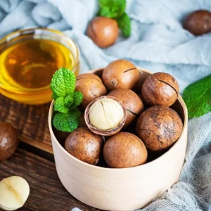 Macadamiase Tree Seedling Live Plant for Planting 8-10"Tall 4"Pot Home Garden