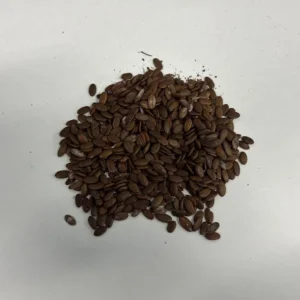 Mimosa Tree 100 Seeds Organic Albizia Julibrissin Pink Flowers Fast-Growing