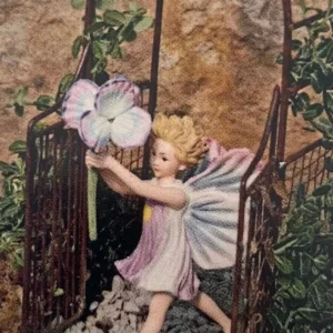 Miniature Wintercreeper Euonymus fortunei ‘Kewensis’ - 2.5