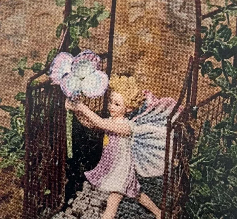 Miniature Wintercreeper Euonymus fortunei ‘Kewensis’ - 2.5" Pot Creeping Evergreen