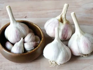 Music Garlic