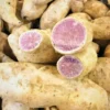 Okinawa Sweet Potato Slips - 15 Live Plants for Planting & Sweet Potato Vine