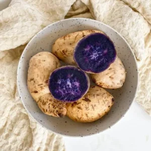 Okinawa Sweet Potato Slips - 15 Live Plants for Planting & Sweet Potato Vine