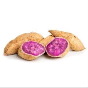 Okinawa Sweet Potato Slips - 15 Live Plants for Planting & Sweet Potato Vine