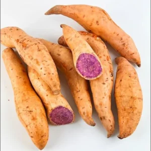 Okinawa Sweet Potato Slips - 15 Live Plants for Planting & Sweet Potato Vine