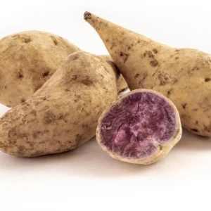 Okinawa Sweet Potato Slips - 15 Live Plants for Planting & Sweet Potato Vine