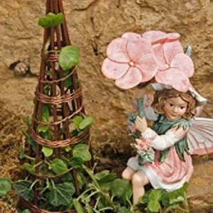 Peter Pan Ivy Plant – 2.5
