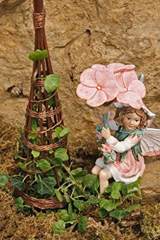Peter Pan Ivy Plant – 2.5" Pot for Fairy Garden, Terrarium, Indoor Décor