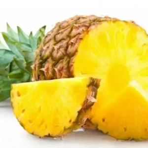 Pineapple Plant 'Elite Gold' Live Seedling - Sweet Tropical Fruit Plant