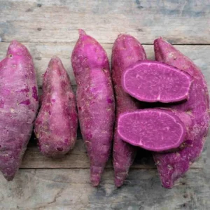 Purple Majesty Sweet Potato Slips - 10 Non GMO Plants - Garden Ready