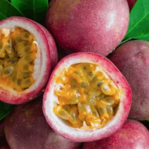 Purple Passion Fruit Plant - Passion Vine - 10-16 Inch Tall - Half Gallon Pot