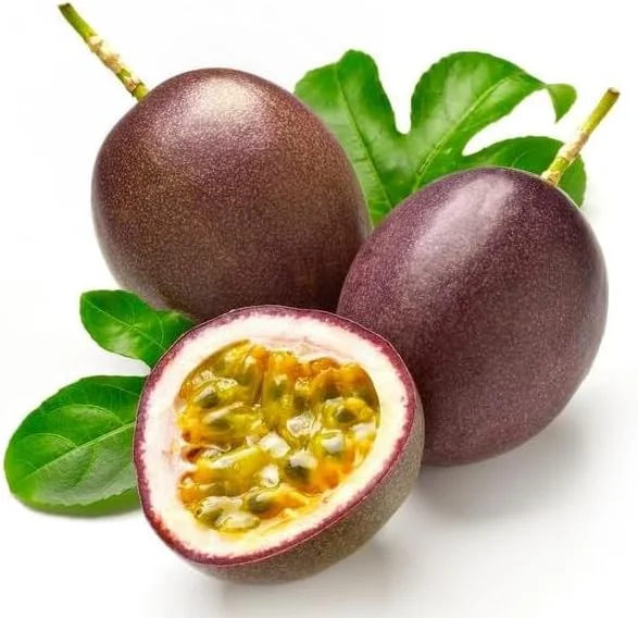 Purple Passion Fruit Plant - Passion Vine - 10-16 Inch Tall - Half Gallon Pot