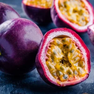 Purple Possum Passion Fruit Plant - 2-4 inch Plug - Edible Vine
