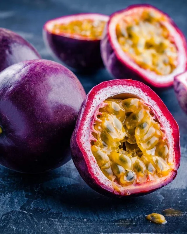 Purple Possum Passion Fruit Plant - 2-4 inch Plug - Edible Vine