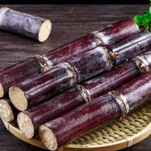 Purple Sugarcane Plant Cuttings 20-Pack – Fresh 12 Inch Saccharum Officinarum Stems – Unrooted Starter Plants for Growing