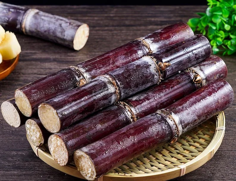 Purple Sugarcane Plant Cuttings 20-Pack – Fresh 12 Inch Saccharum Officinarum Stems – Unrooted Starter Plants for Growing