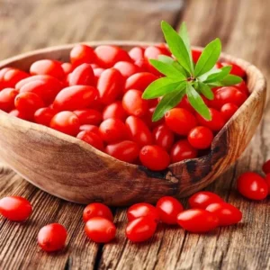 Red Goji Berry Plant Live, Outdoor Fruit Tree, 6-9 Inches