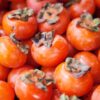 American Persimmon Tree – 4” Container – Cold Hardy Fruit Tree