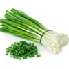 Set 15 Bare Roots Green Onions for Planting Green Chinese Onion Shandong Onion