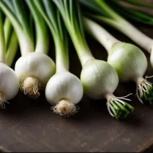 Set 15 Bare Roots Green Onions for Planting Green Chinese Onion Shandong Onion