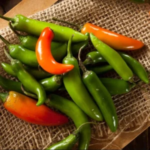 Set 2 Serrano Pepper Plants Live for Planting 3-6"Tall 100 Days Old Pepper Plant Seedlings, Hot Peppers for Year Round Harvesting No Ship CA