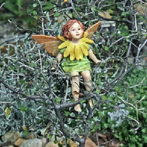 Silver Needle Ghost Tree - Corokia Plant in 2.5