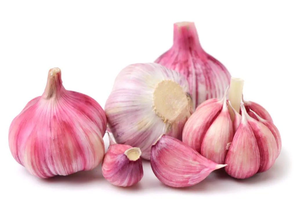 Spanish Roja Garlic